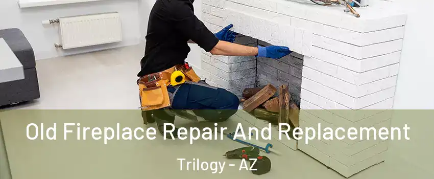 Old Fireplace Repair And Replacement Trilogy - AZ