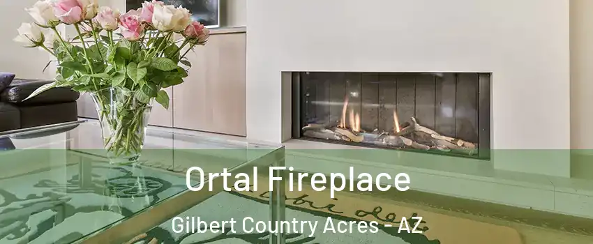 Ortal Fireplace Gilbert Country Acres - AZ