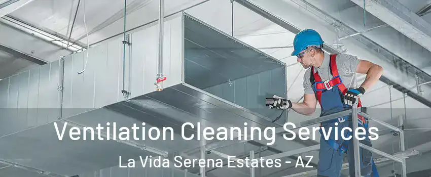 Ventilation Cleaning Services La Vida Serena Estates - AZ