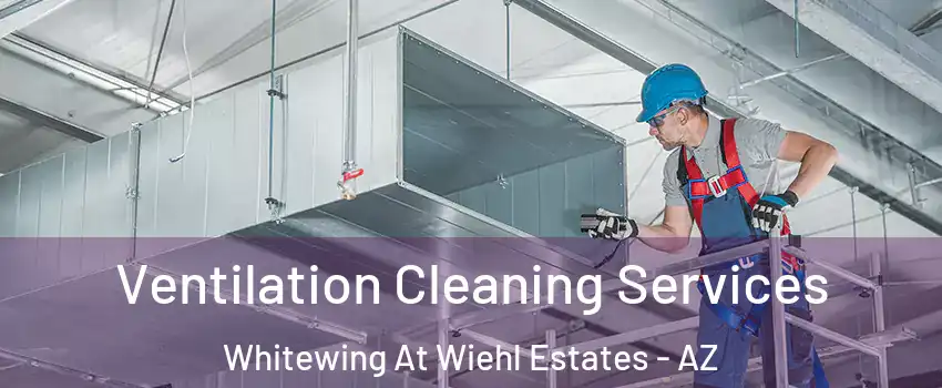 Ventilation Cleaning Services Whitewing At Wiehl Estates - AZ