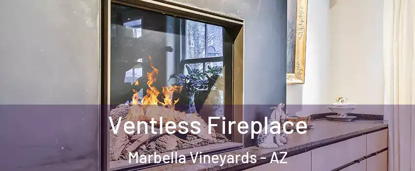 Ventless Fireplace Marbella Vineyards - AZ